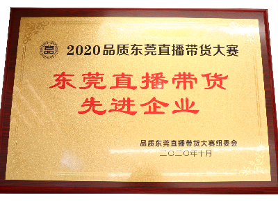泛亚体育荣获东莞直播带货先进企业